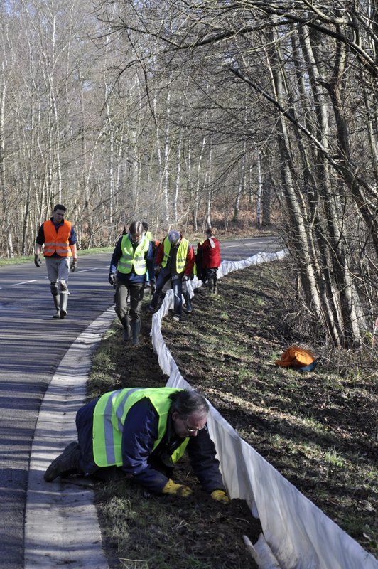 2013 02 25 Montage du crapaudrome 03